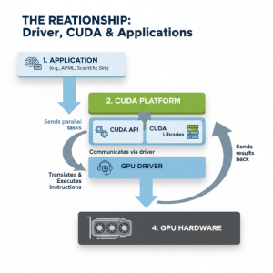 Relationship between driver, CUDA, and applications